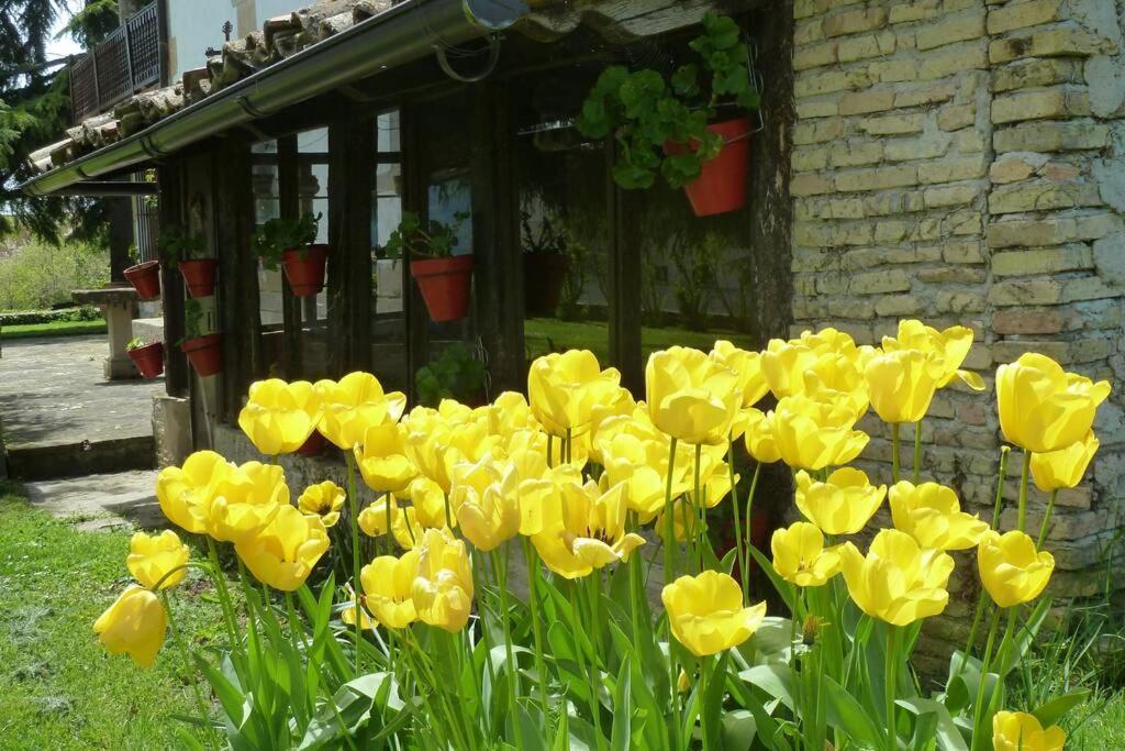 Casa Rural Mertxenea Landetxea Elcano Εξωτερικό φωτογραφία